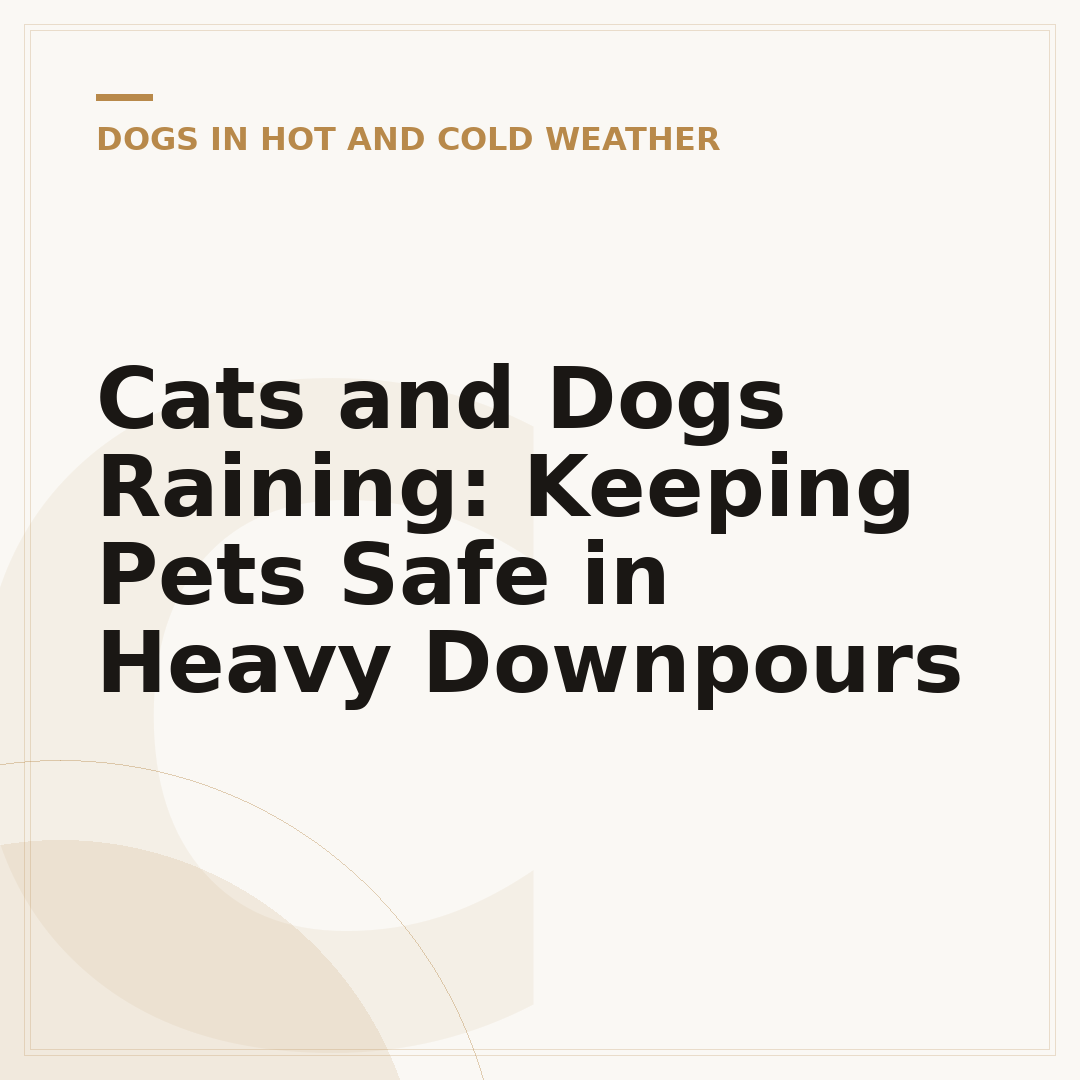 Cats and Dogs Raining: Keeping Pets Safe in Heavy Downpours