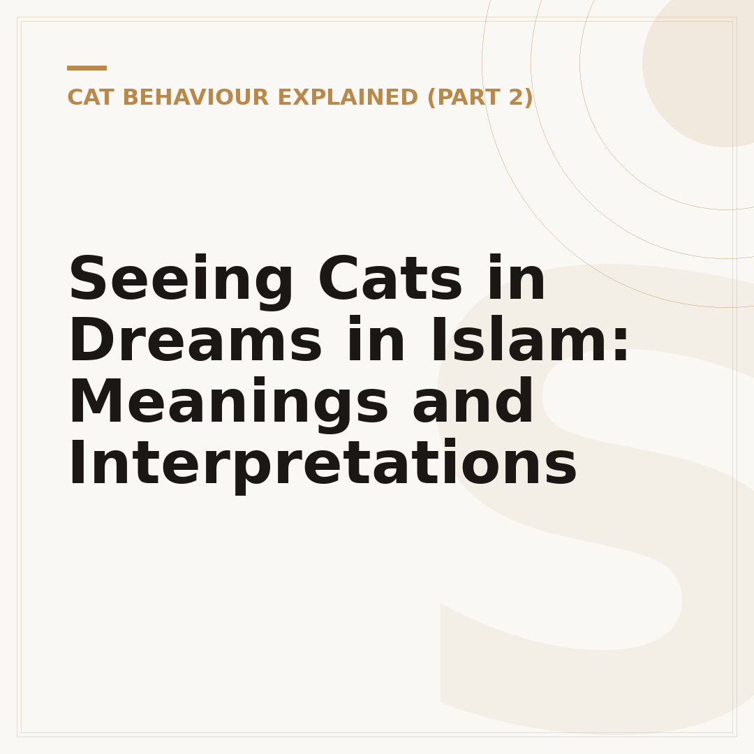 Seeing Cats in Dreams in Islam: Meanings and Interpretations