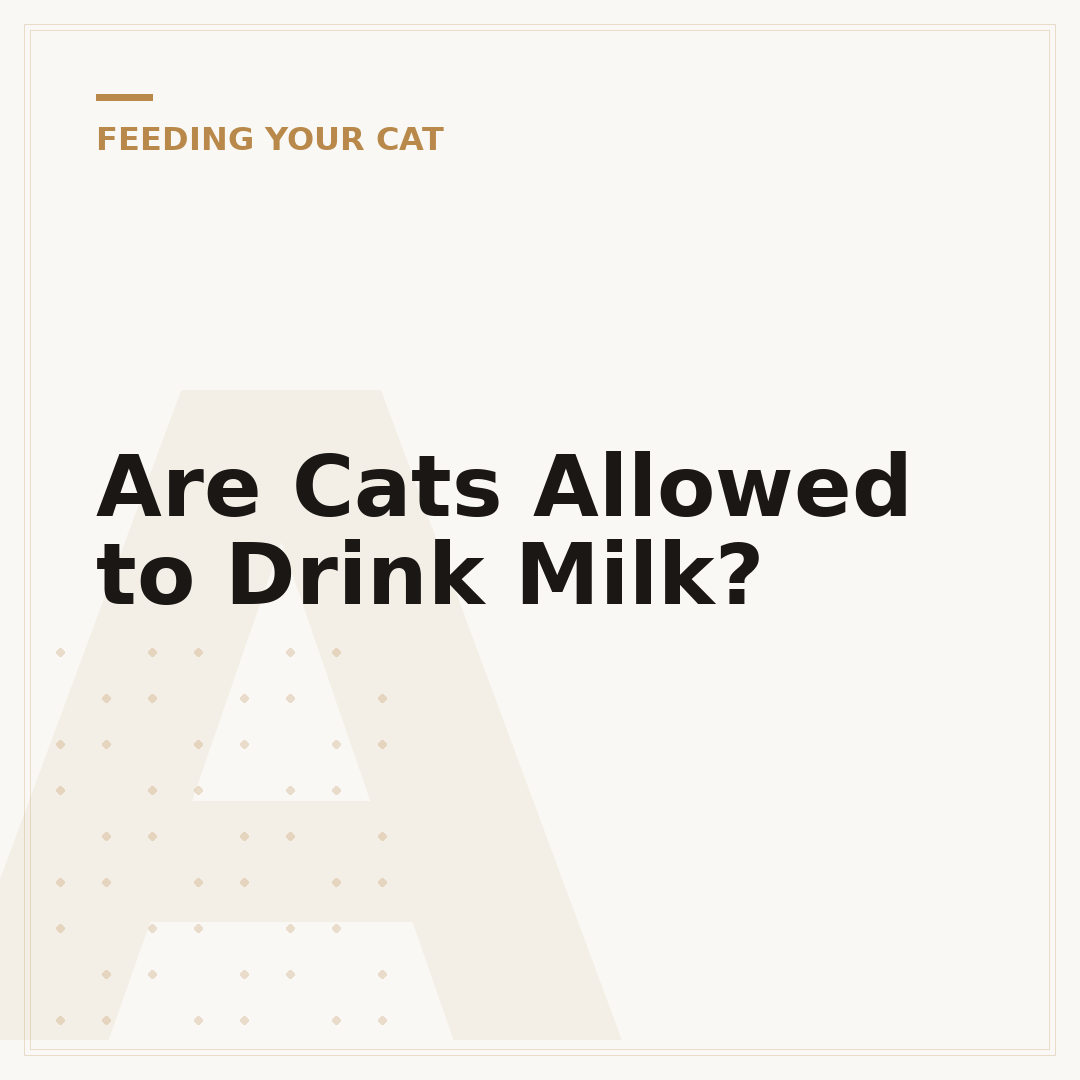 Are Cats Allowed to Drink Milk?
