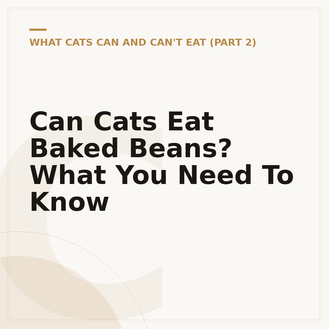 Can Cats Eat Baked Beans? What You Need To Know