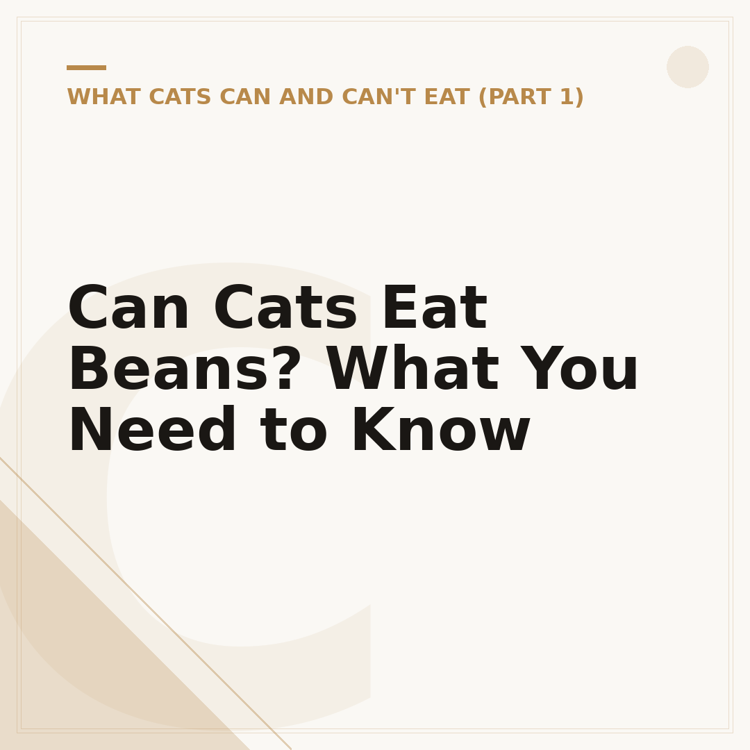 Can Cats Eat Beans? What You Need to Know