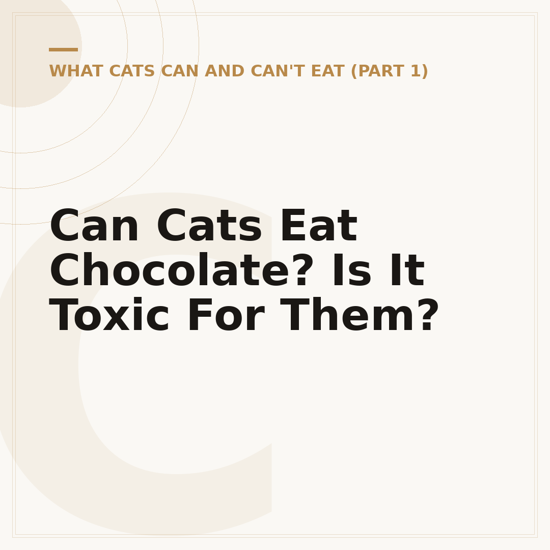 Can Cats Eat Chocolate? Is It Toxic For Them?
