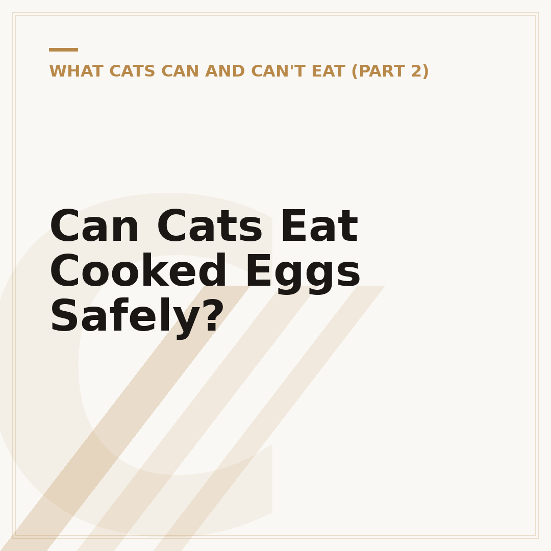 Can Cats Eat Cooked Eggs Safely?