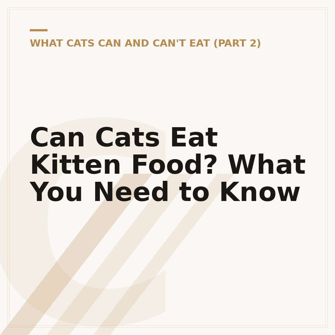 Can Cats Eat Kitten Food? What You Need to Know
