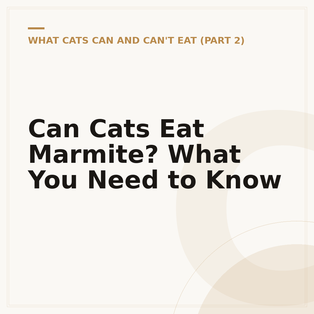 Can Cats Eat Marmite? What You Need to Know