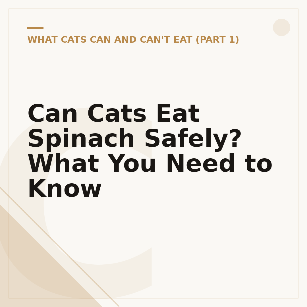 Can Cats Eat Spinach Safely? What You Need to Know