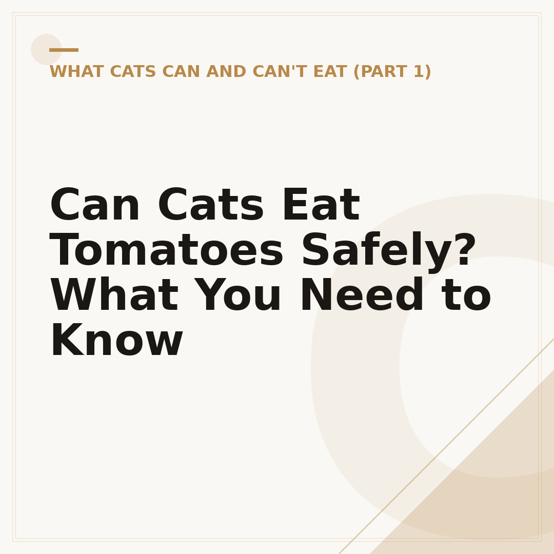 Can Cats Eat Tomatoes Safely? What You Need to Know