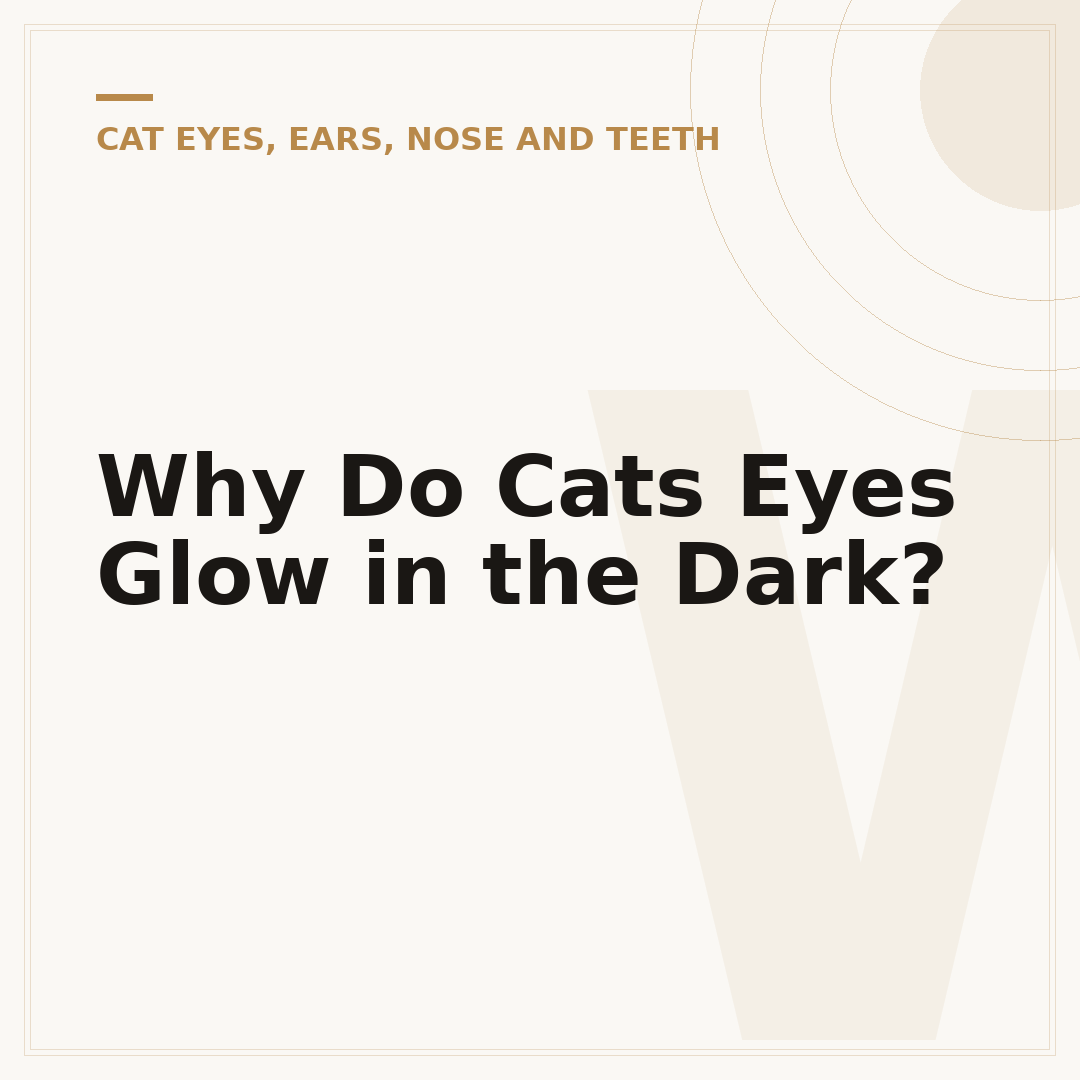 Why Do Cats Eyes Glow in the Dark?