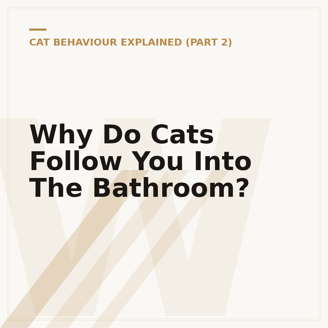 Why Do Cats Follow You Into The Bathroom?