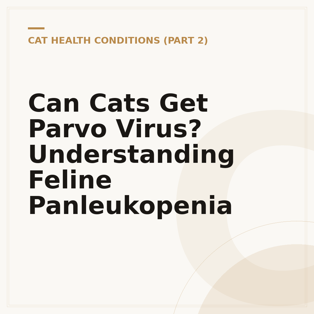 Can Cats Get Parvo Virus? Understanding Feline Panleukopenia