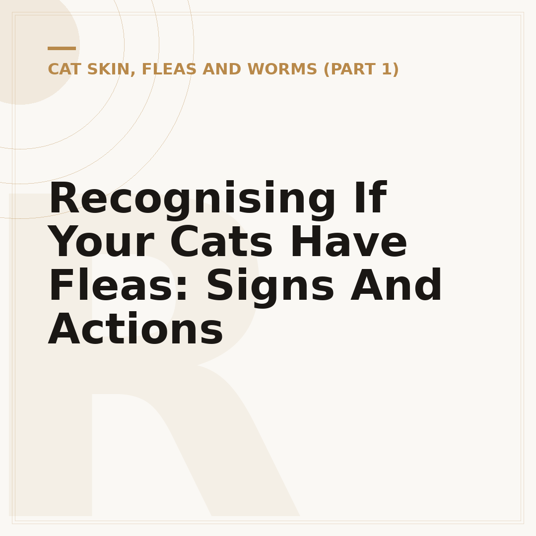 Recognising If Your Cats Have Fleas: Signs And Actions