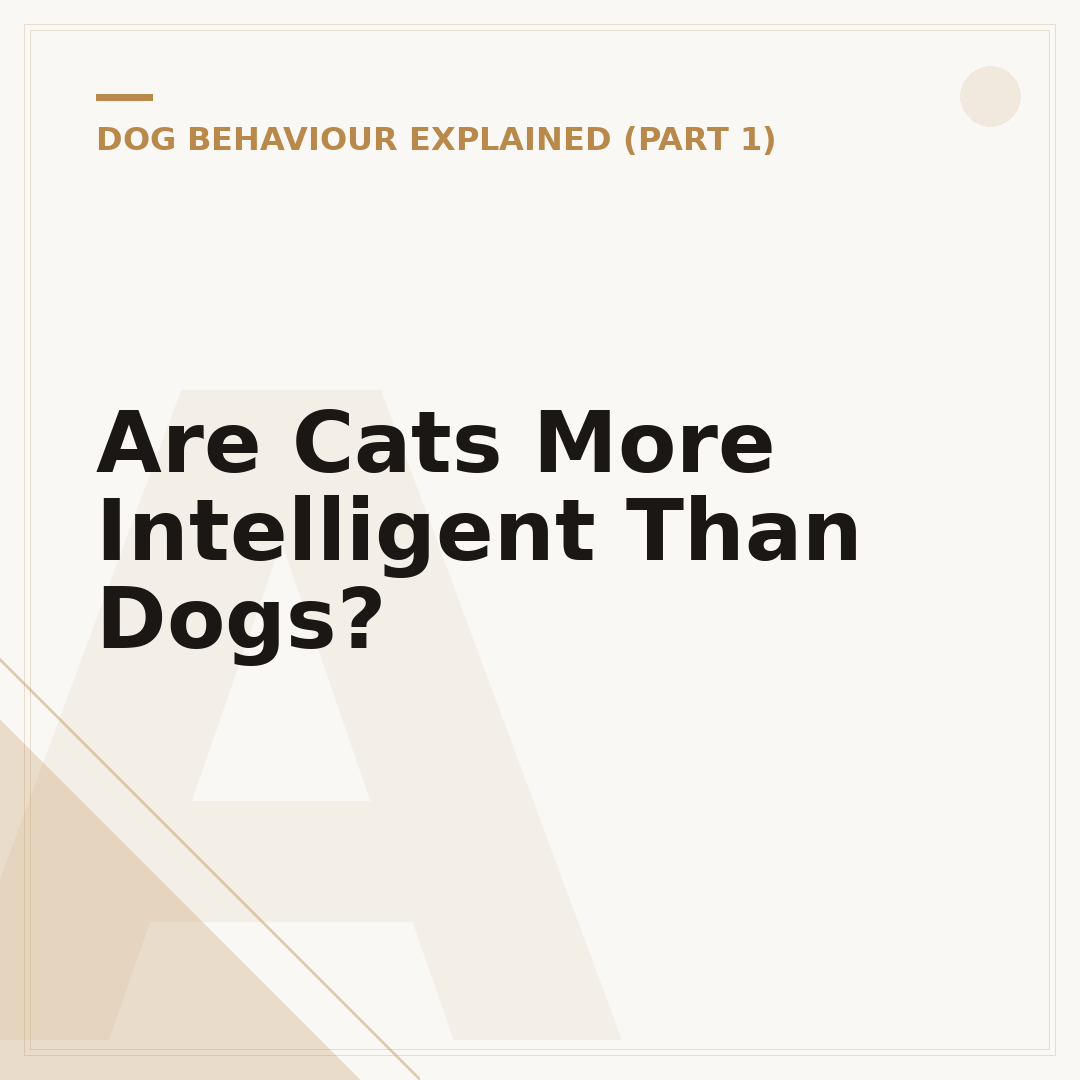 Are Cats More Intelligent Than Dogs?