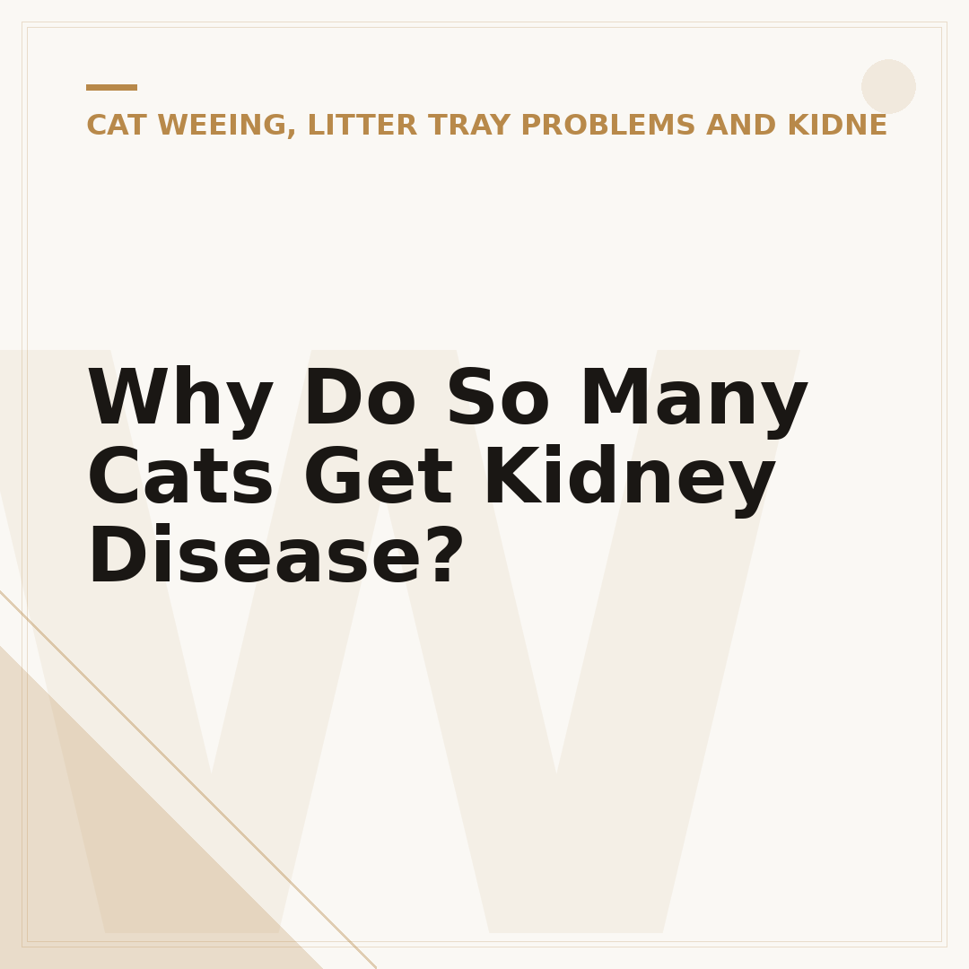 Why Do So Many Cats Get Kidney Disease?