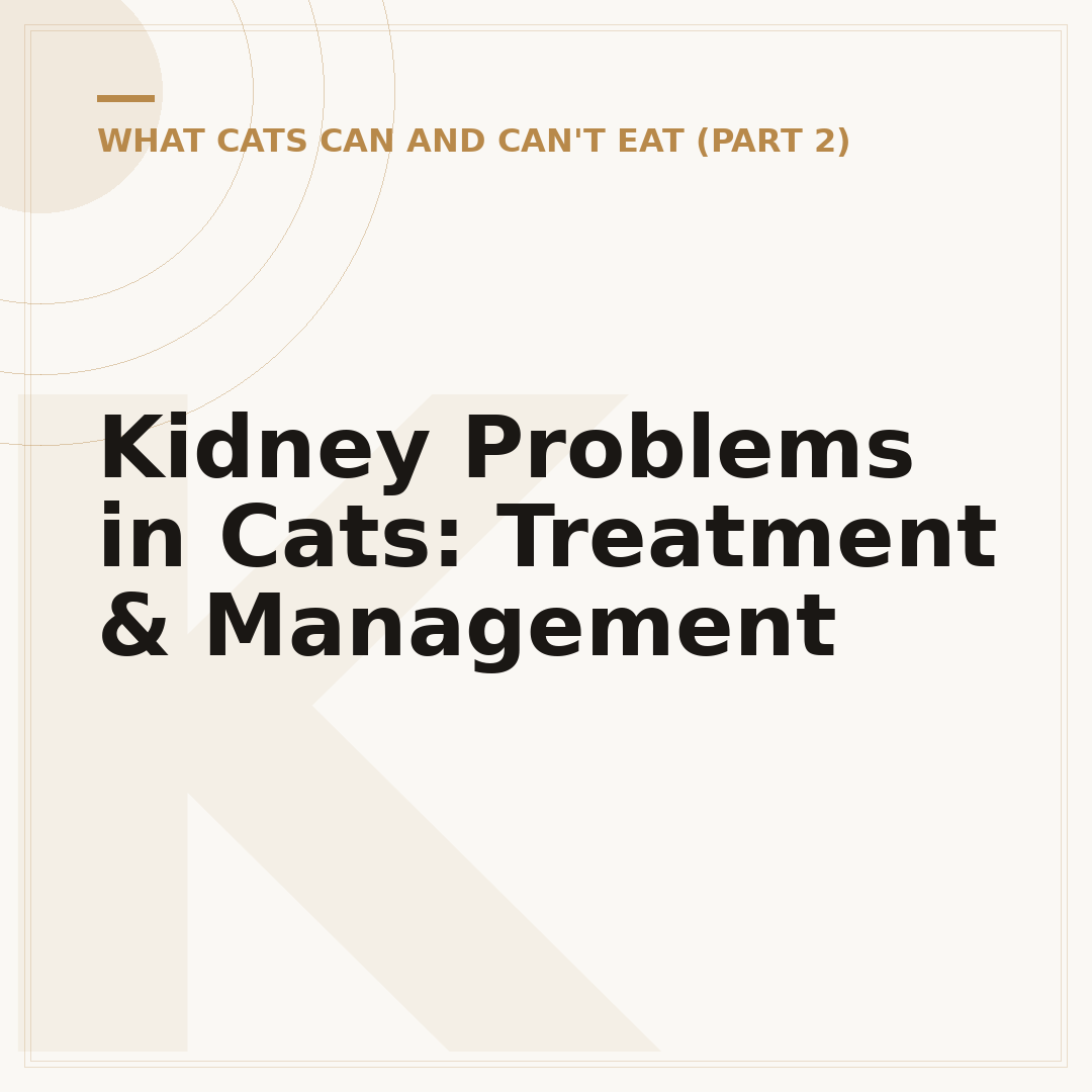 Kidney Problems in Cats: Treatment & Management