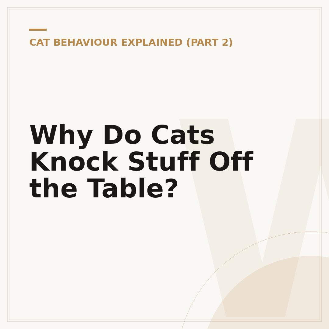 Why Do Cats Knock Stuff Off the Table?