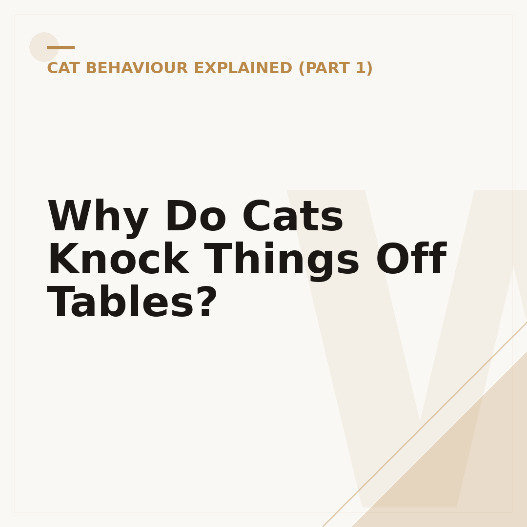 Why Do Cats Knock Things Off Tables?