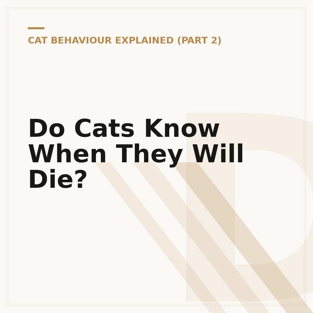 Do Cats Know When They Will Die?