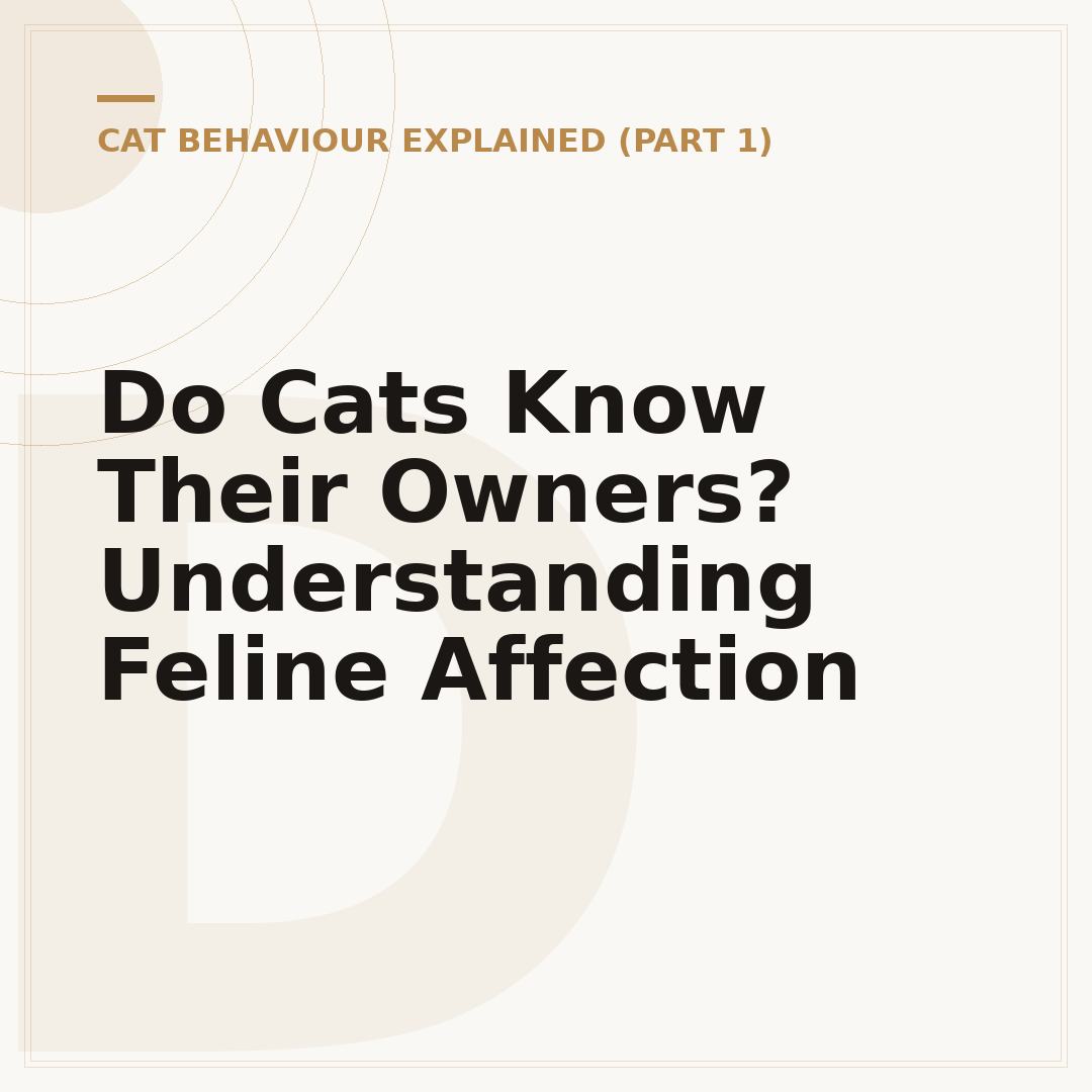 Do Cats Know Their Owners? Understanding Feline Affection