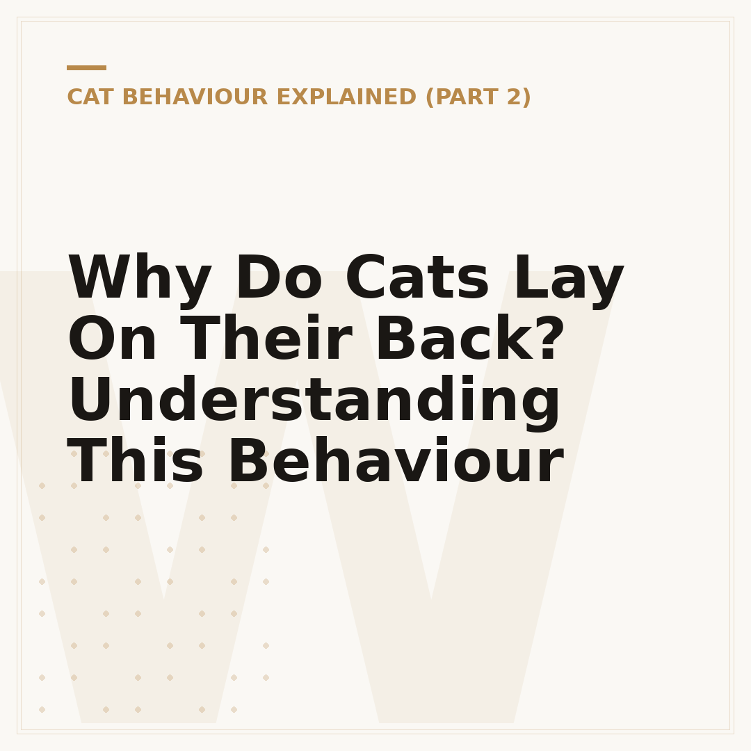 Why Do Cats Lay On Their Back? Understanding This Behaviour