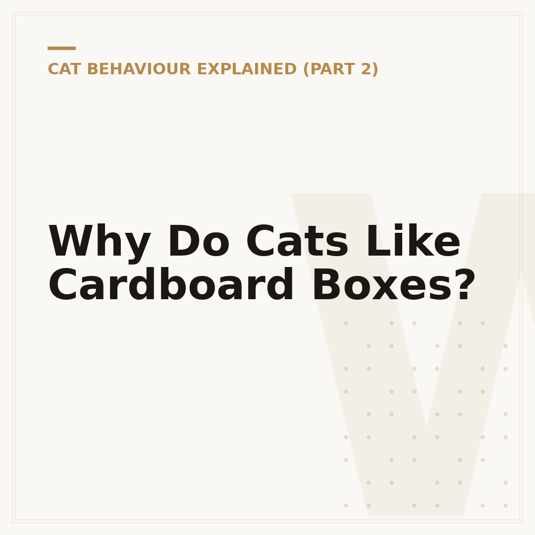 Why Do Cats Like Cardboard Boxes?
