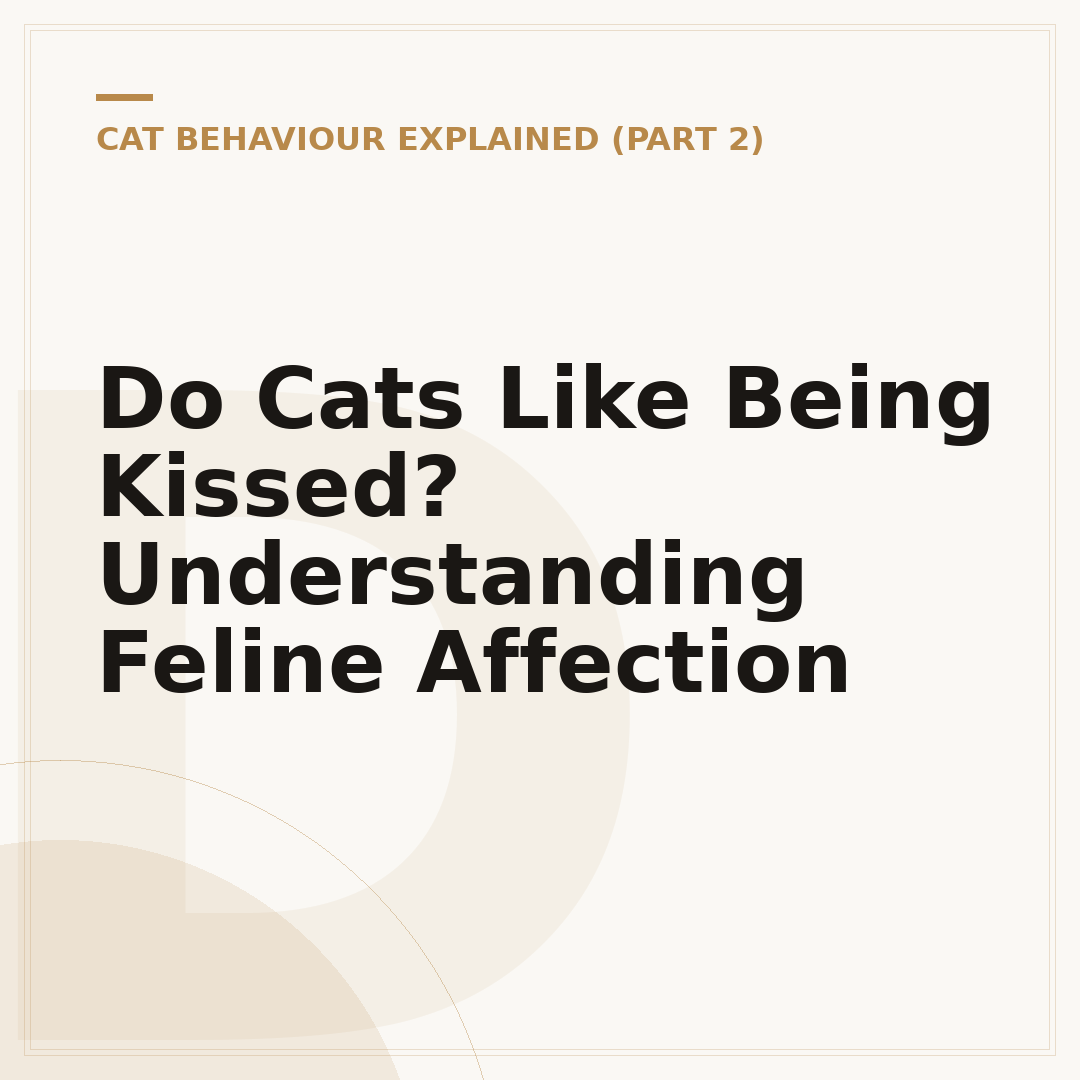 Do Cats Like Being Kissed? Understanding Feline Affection