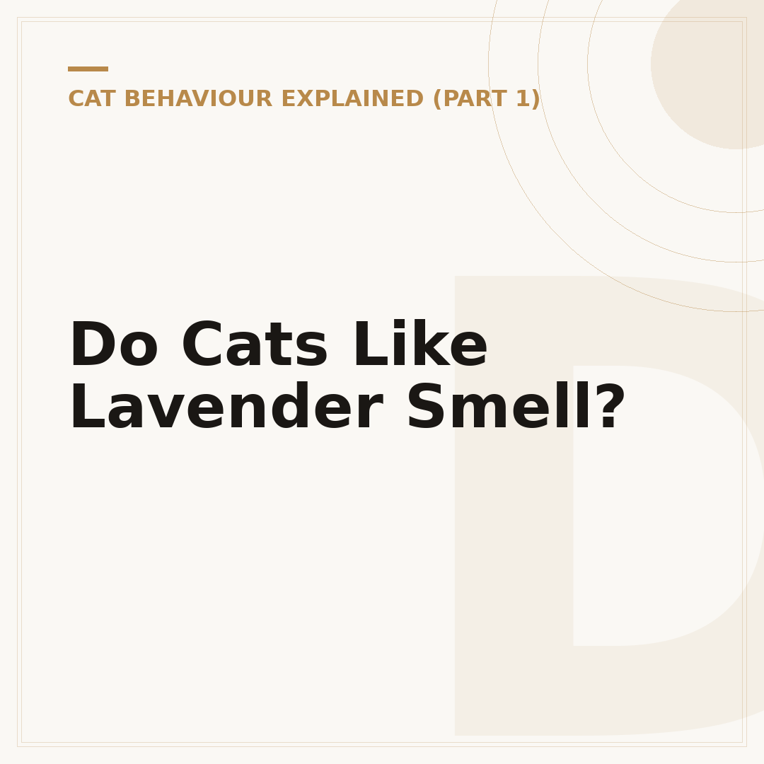 Do Cats Like Lavender Smell?