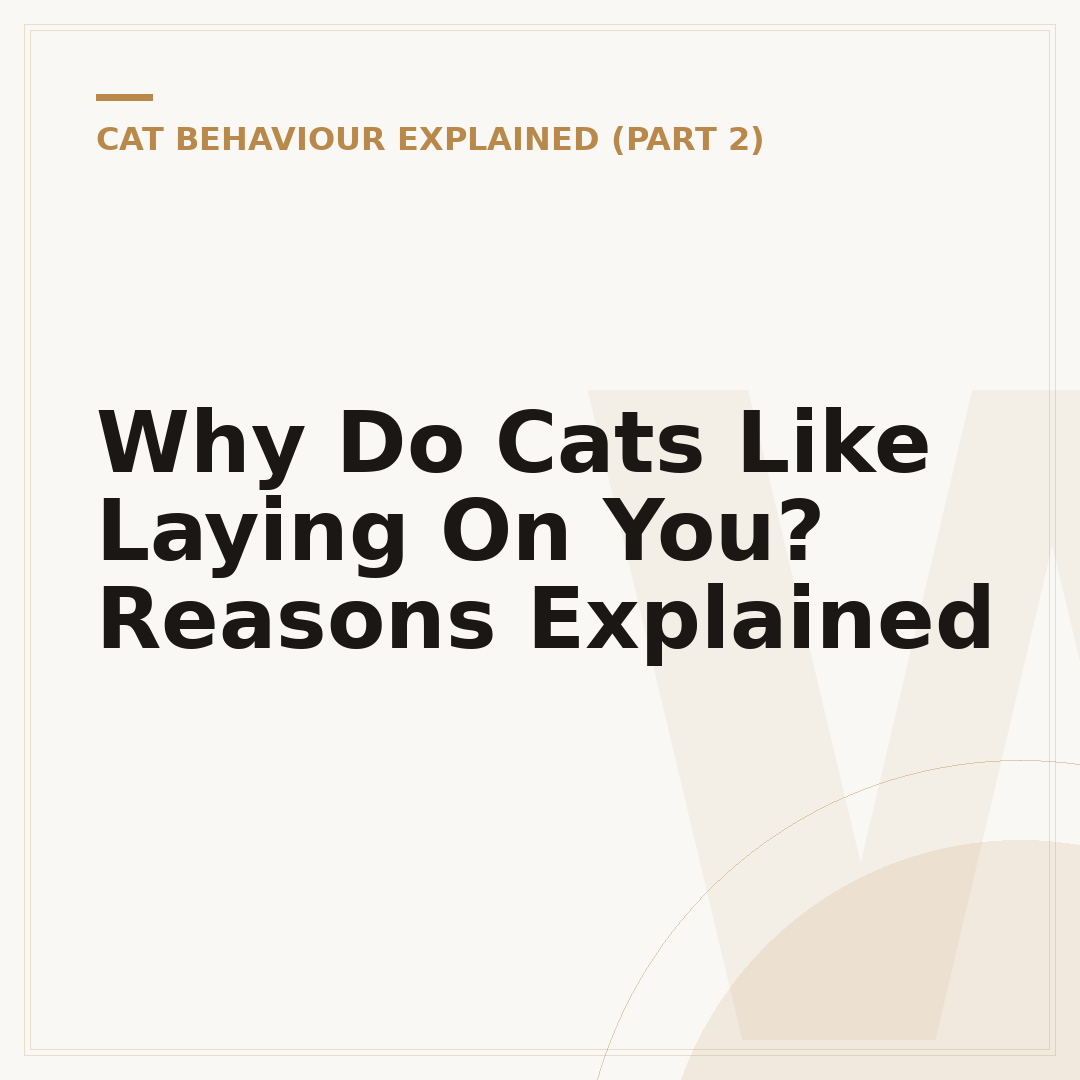 Why Do Cats Like Laying On You? Reasons Explained