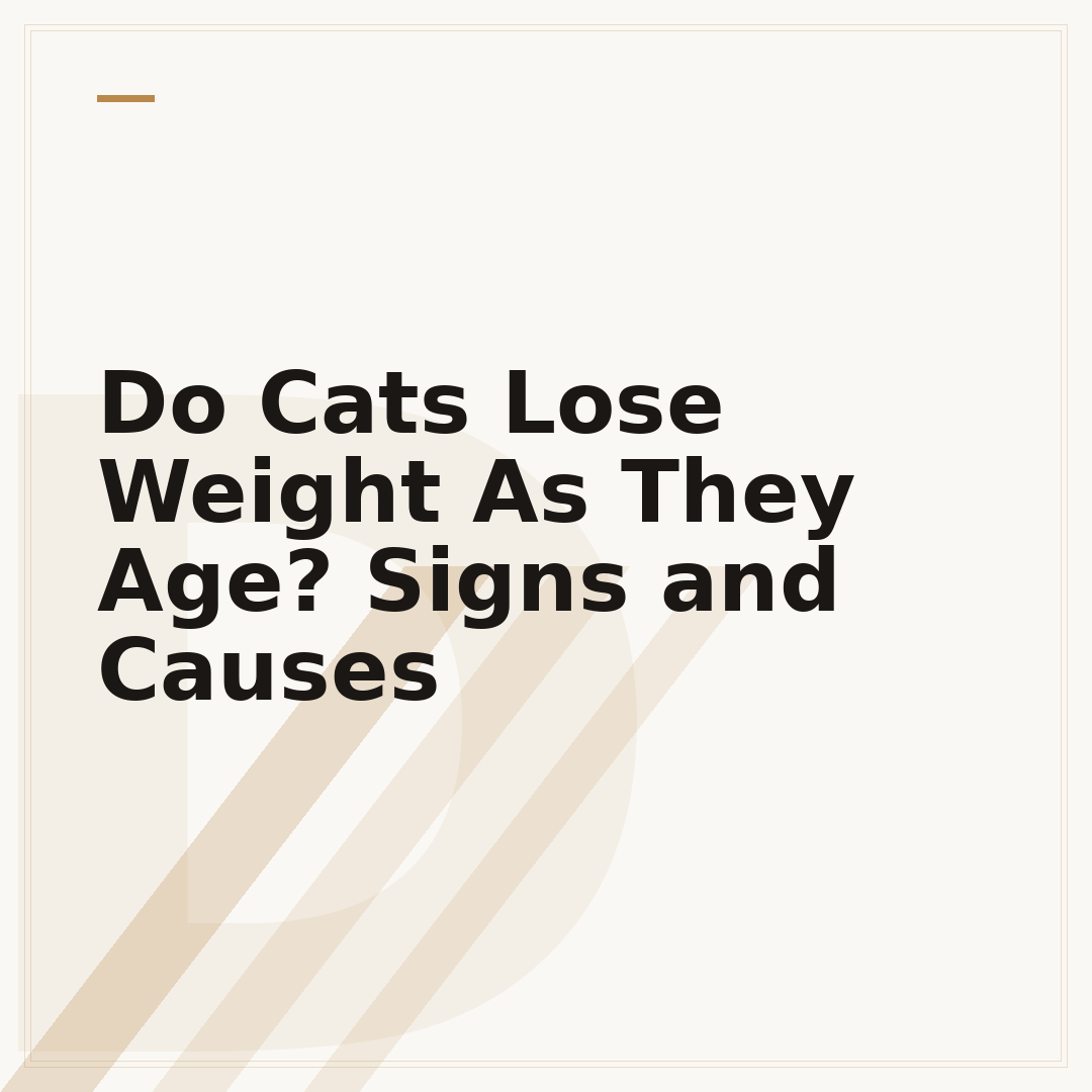Do Cats Lose Weight As They Age? Signs and Causes