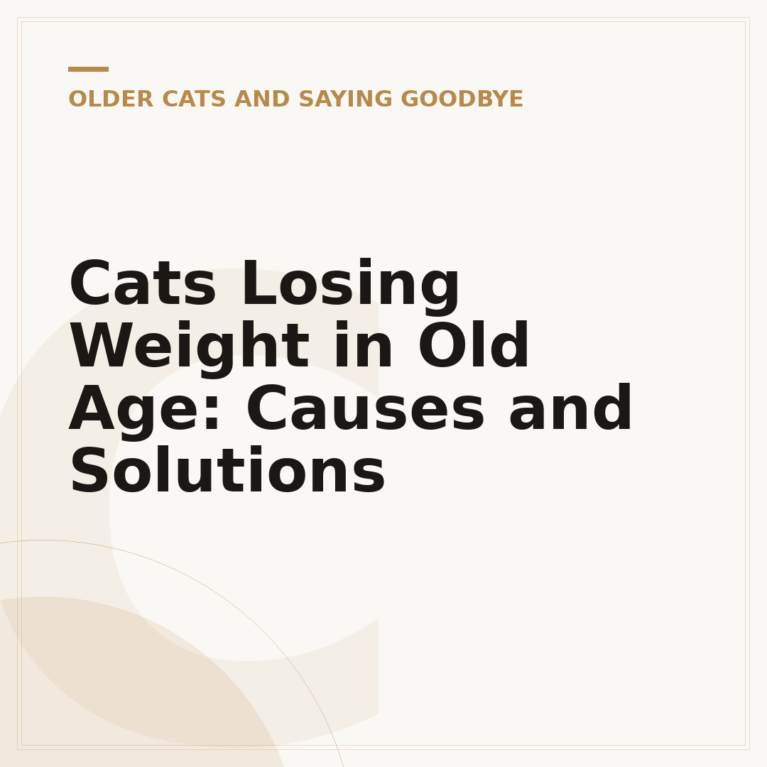 Cats Losing Weight in Old Age: Causes and Solutions