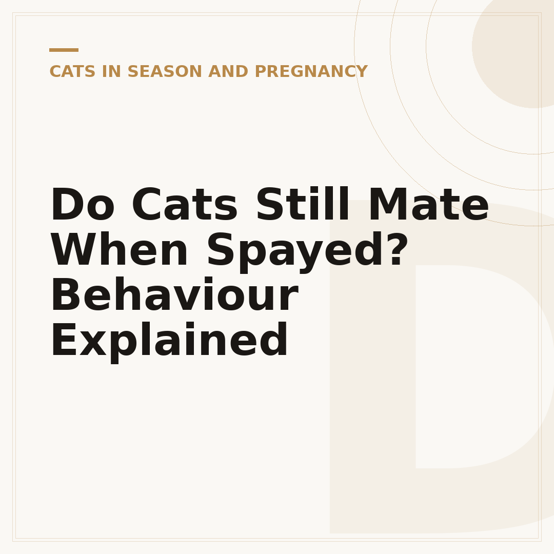 Do Cats Still Mate When Spayed? Behaviour Explained
