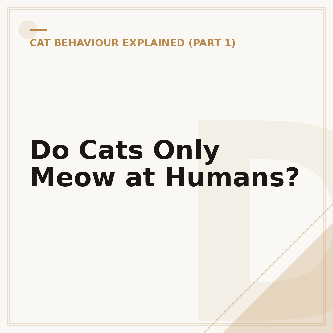 Do Cats Only Meow at Humans?