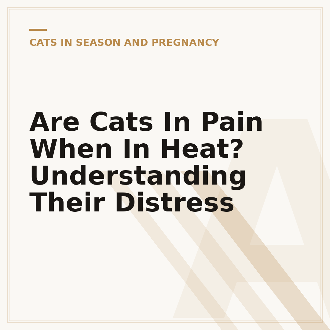 Are Cats In Pain When In Heat? Understanding Their Distress