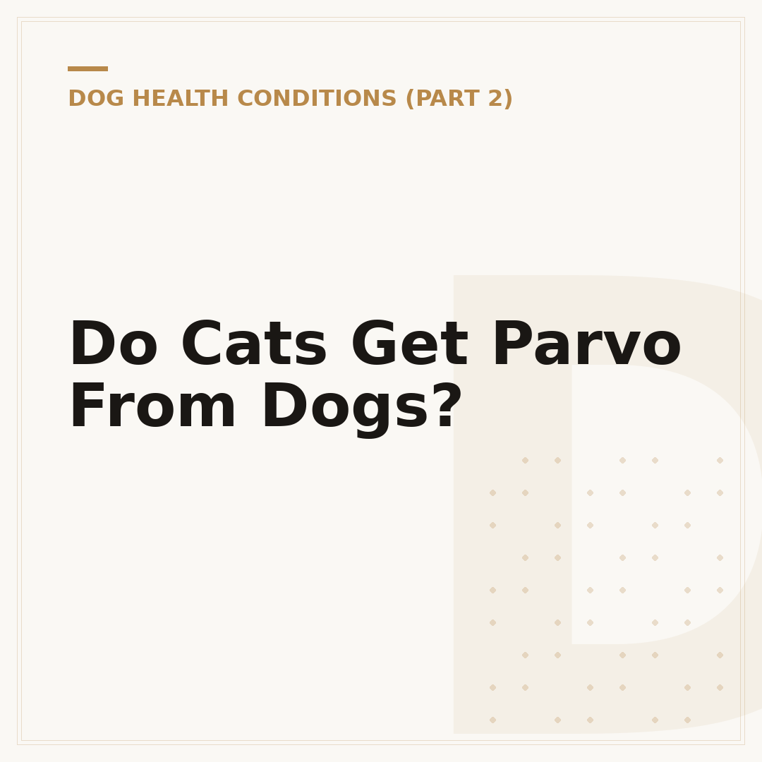 Do Cats Get Parvo From Dogs?