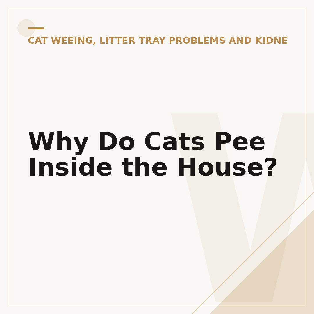 Why Do Cats Pee Inside the House?