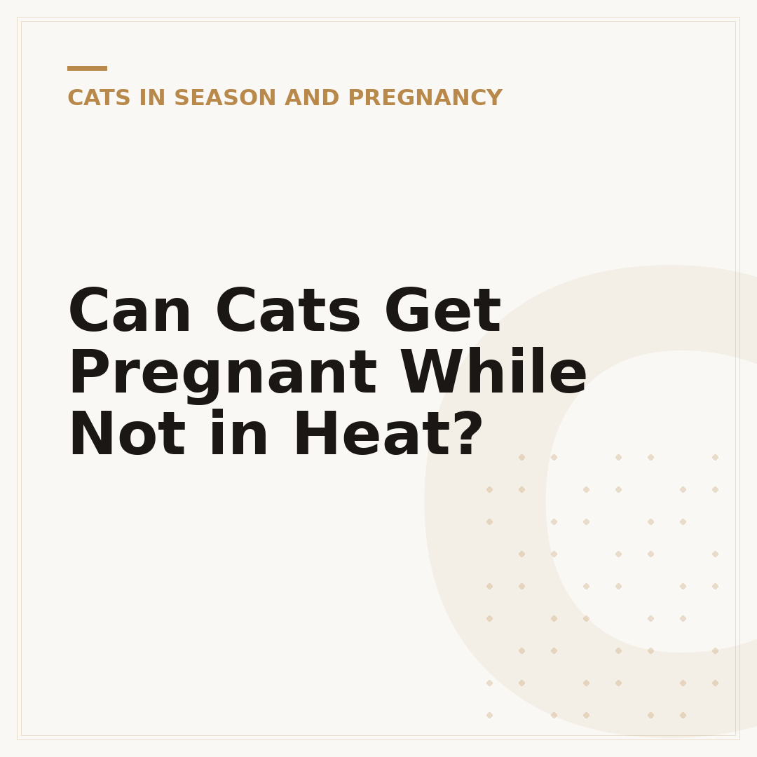 Can Cats Get Pregnant While Not in Heat?
