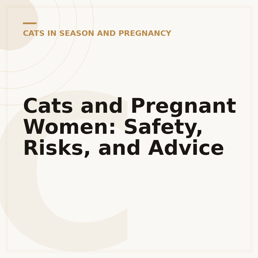 Cats and Pregnant Women: Safety, Risks, and Advice