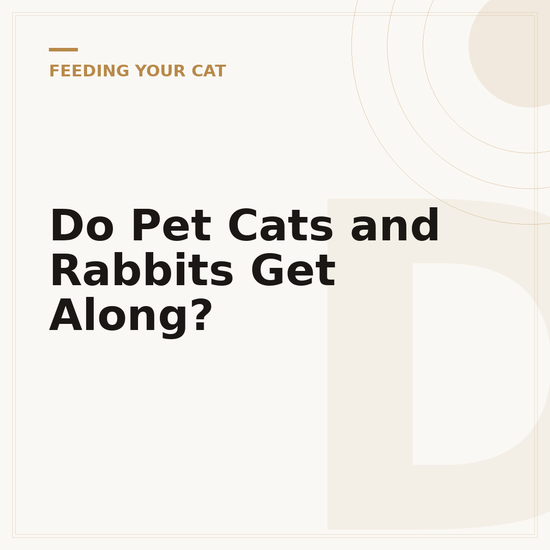 Do Pet Cats and Rabbits Get Along?