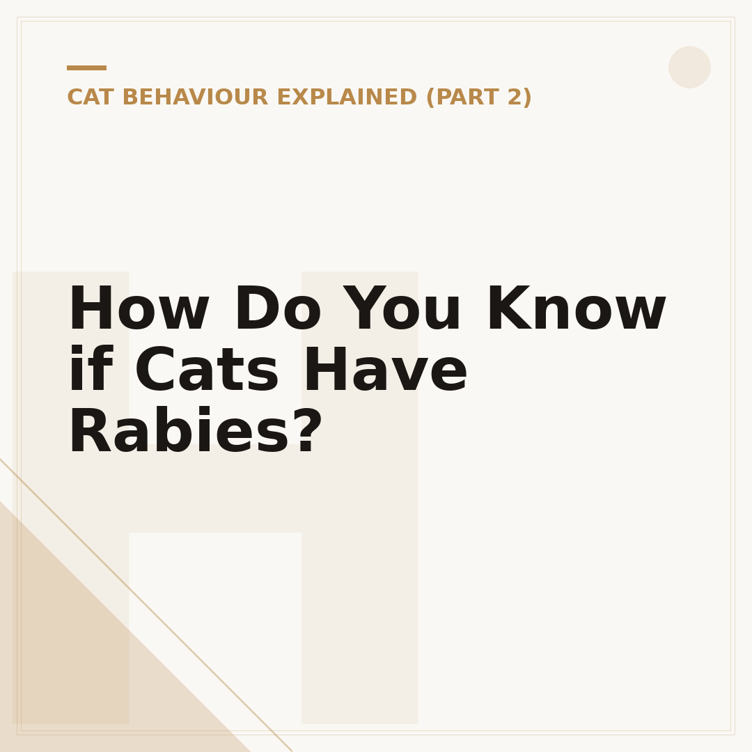 How Do You Know if Cats Have Rabies?