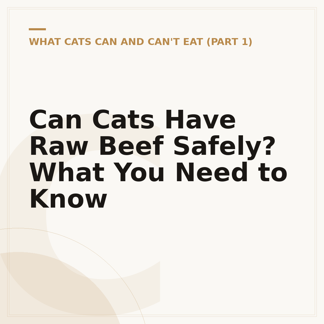 Can Cats Have Raw Beef Safely? What You Need to Know