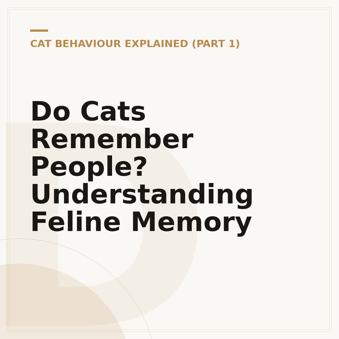 Do Cats Remember People? Understanding Feline Memory