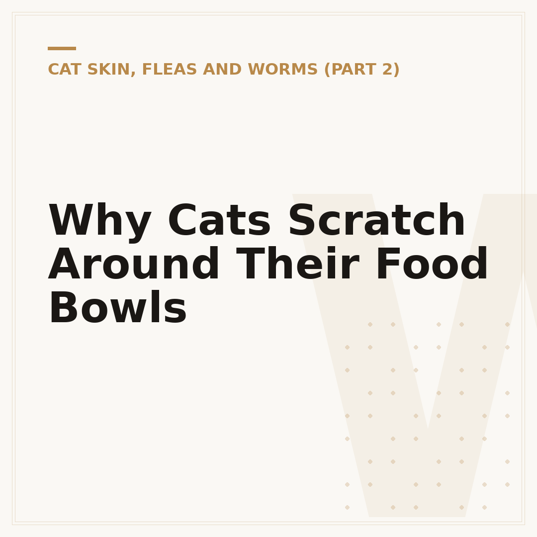 Why Cats Scratch Around Their Food Bowls