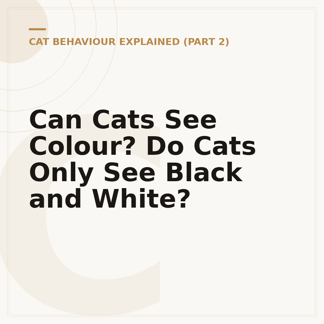 Can Cats See Colour? Do Cats Only See Black and White?