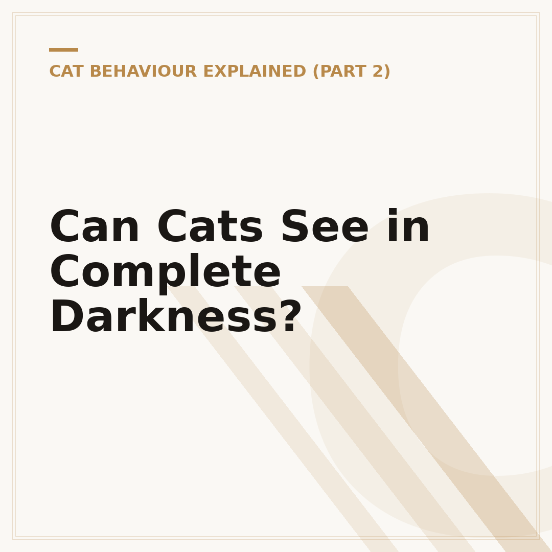 Can Cats See in Complete Darkness?