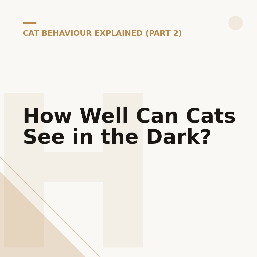 How Well Can Cats See in the Dark?