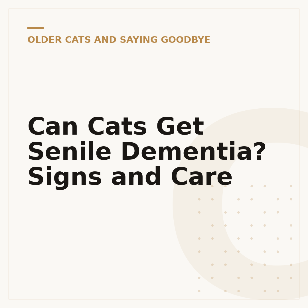 Can Cats Get Senile Dementia? Signs and Care