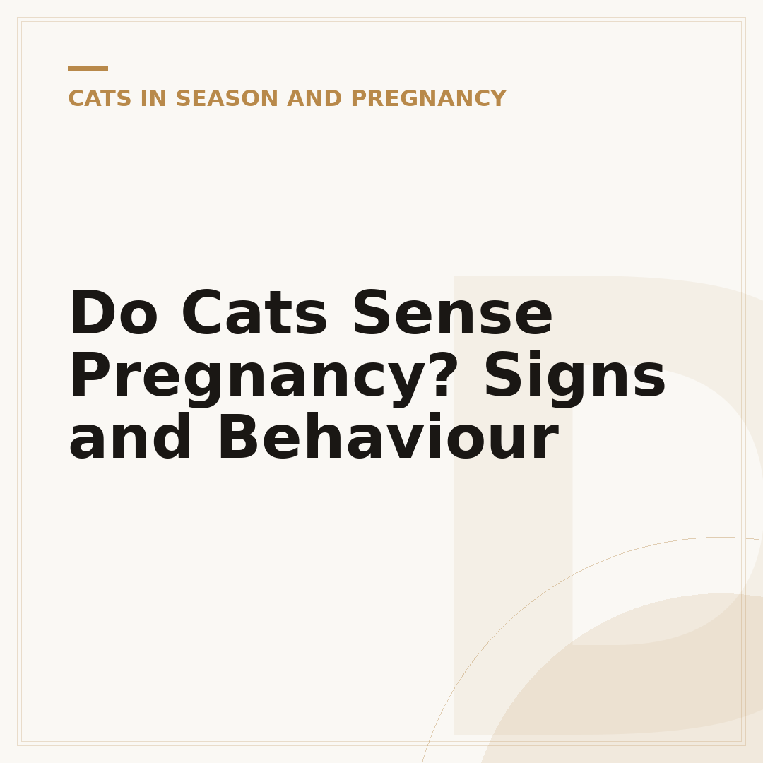 Do Cats Sense Pregnancy? Signs and Behaviour