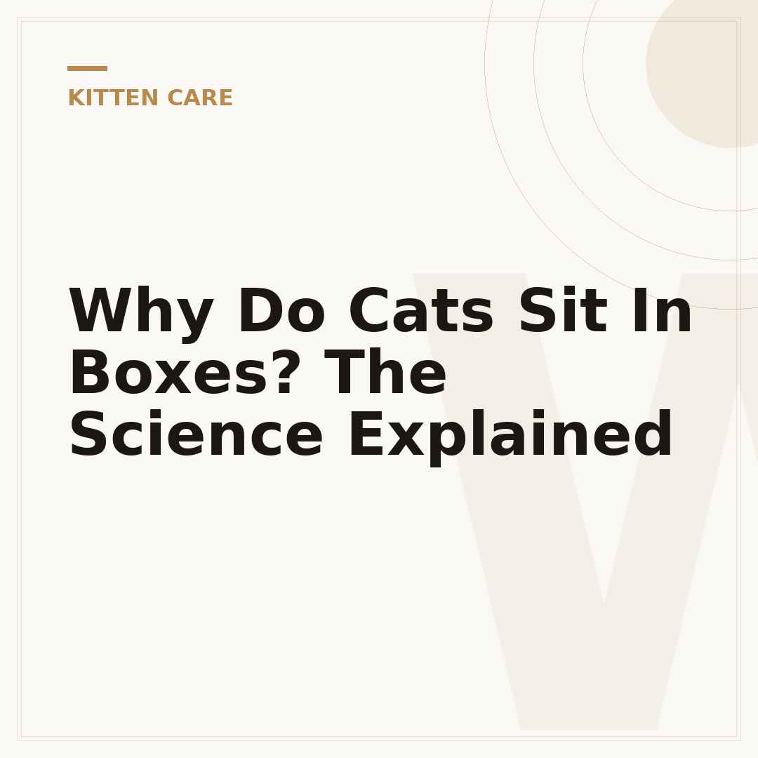 Why Do Cats Sit In Boxes? The Science Explained