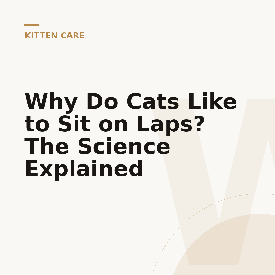 Why Do Cats Like to Sit on Laps? The Science Explained