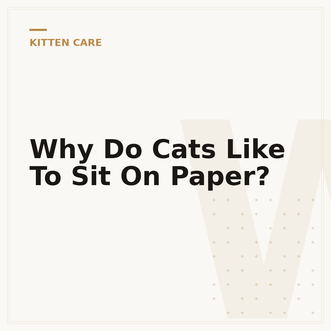 Why Do Cats Like To Sit On Paper?