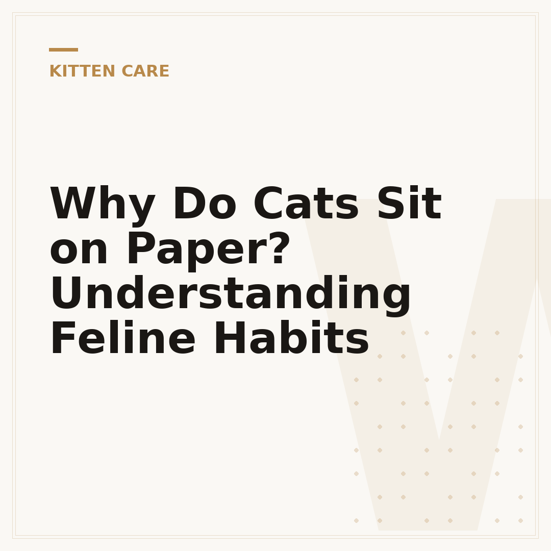 Why Do Cats Sit on Paper? Understanding Feline Habits